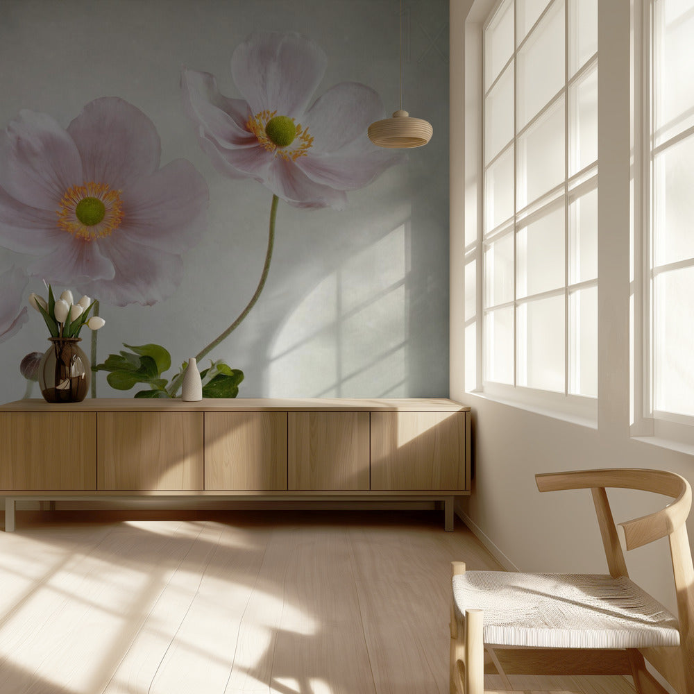 Anemonen | Fotobehang