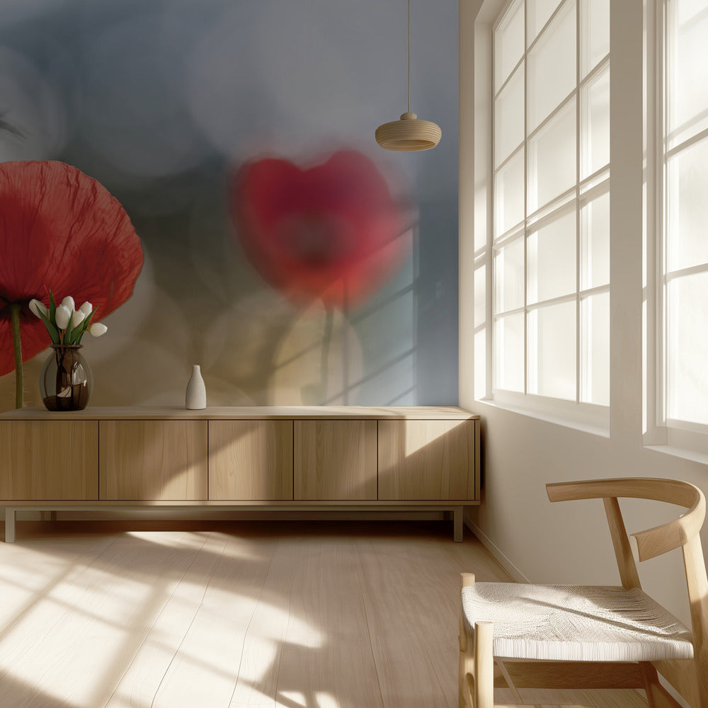 Morgenmohn | Fototapeten