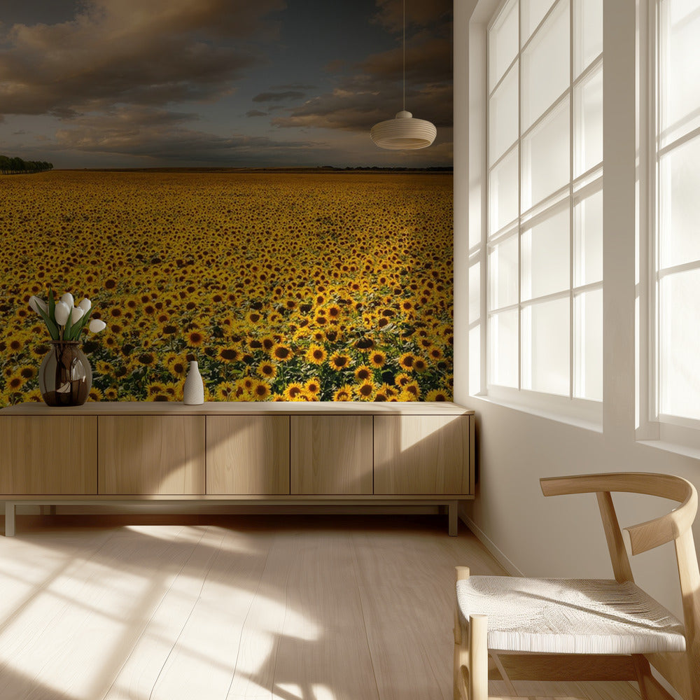 Zonnebloemen | Fotobehang