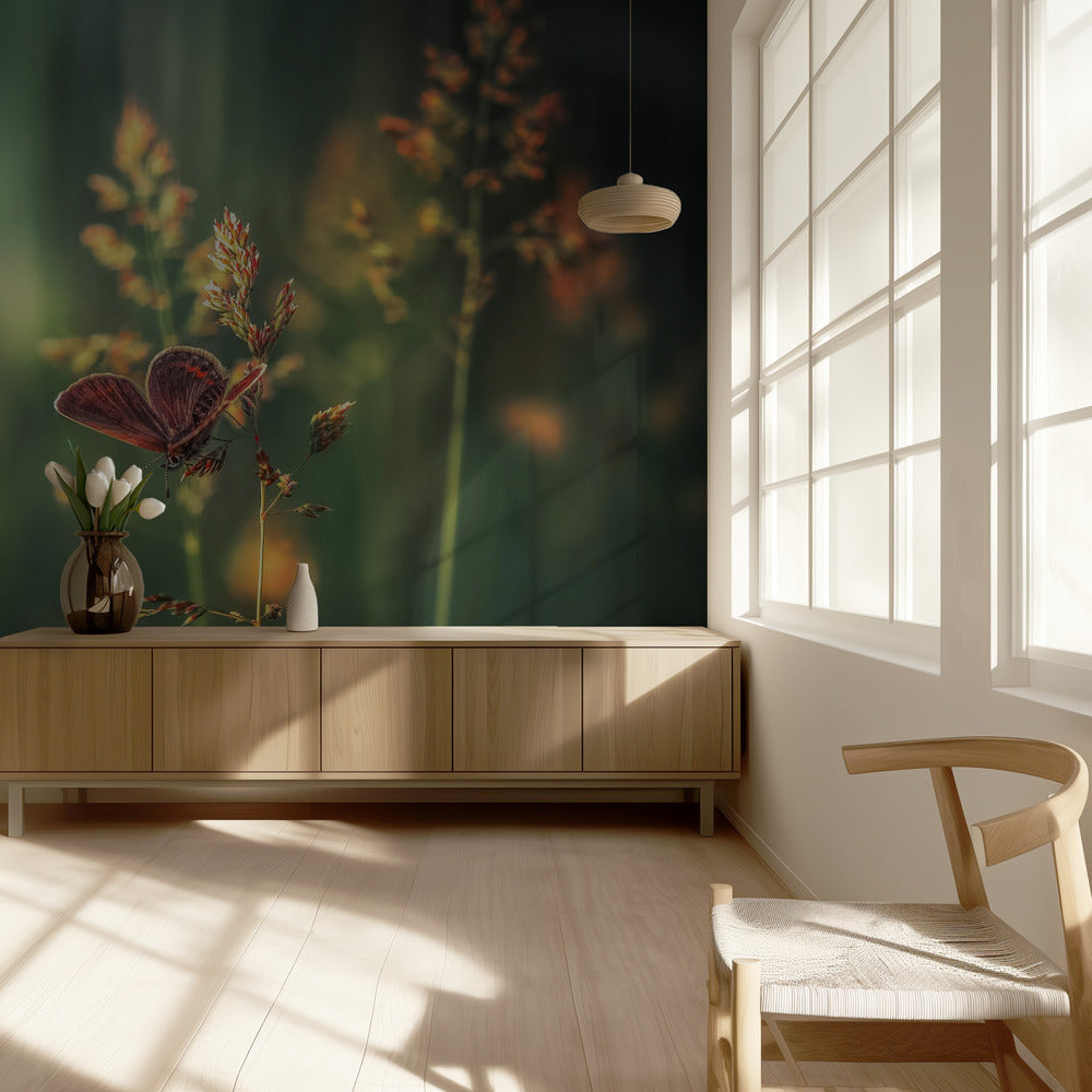 Letztes Licht | Fototapeten