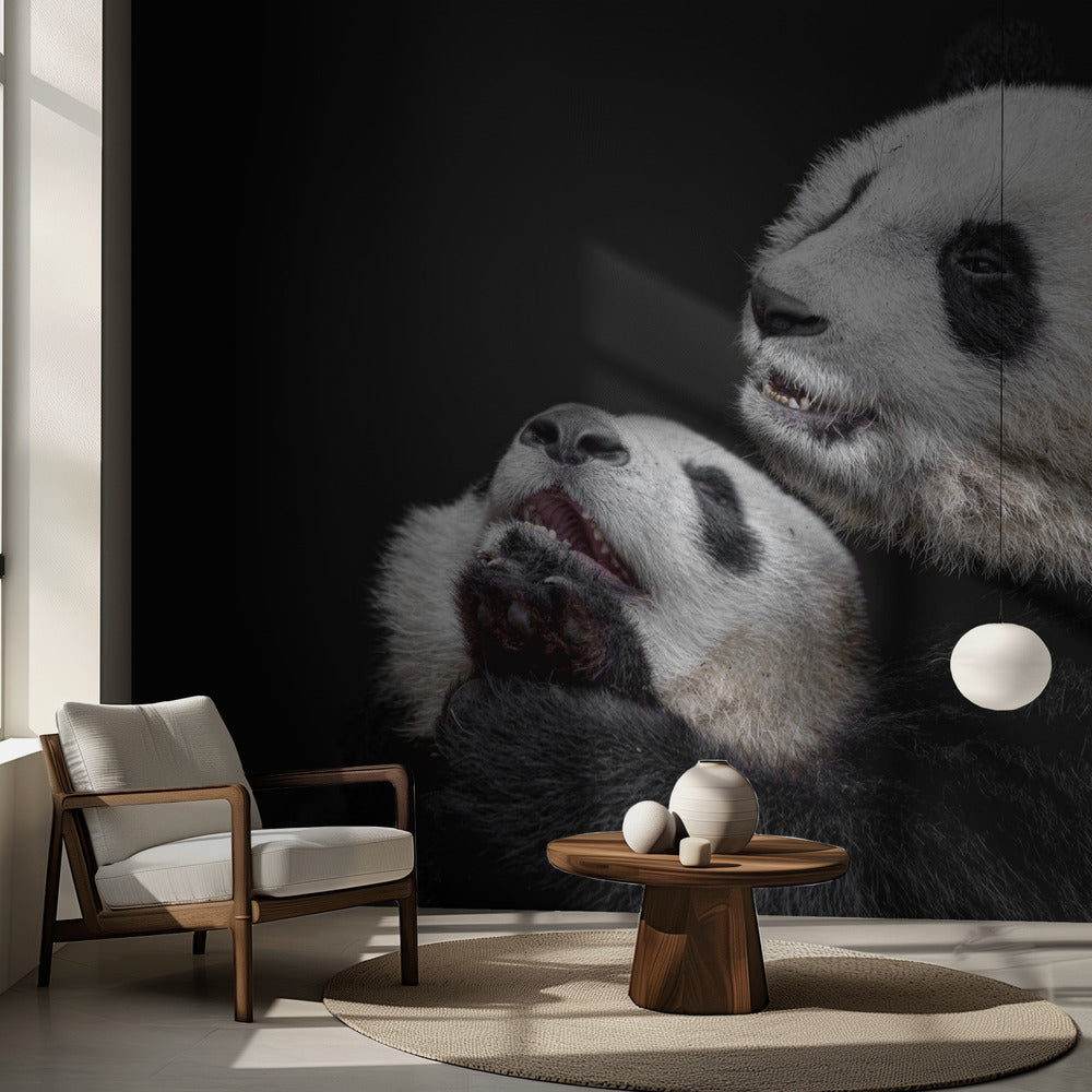 Pandas | Papier Peint Photo