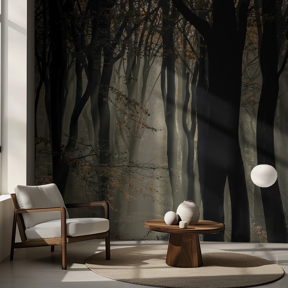 Speulderbos | Fototapeter