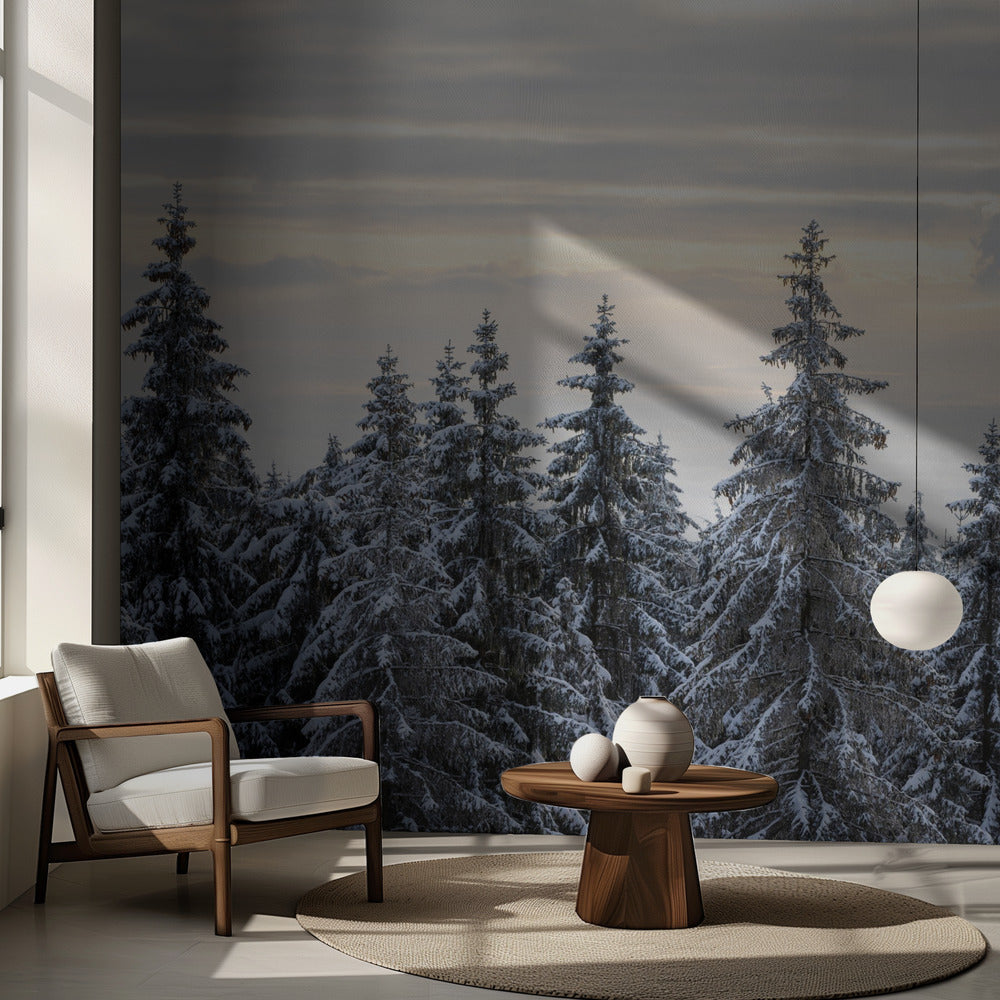 Árboles cubiertos de nieve 8 | Papel Pintado Fotográfico