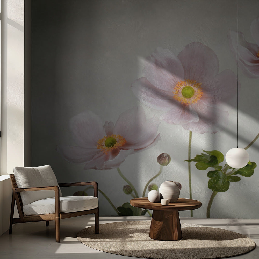 Anemonen | Fotobehang