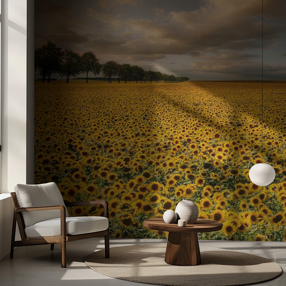 Zonnebloemen | Fotobehang
