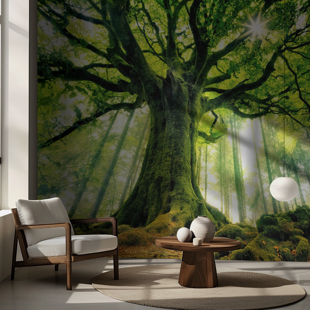 Ponthus' Beech | Wallpaper