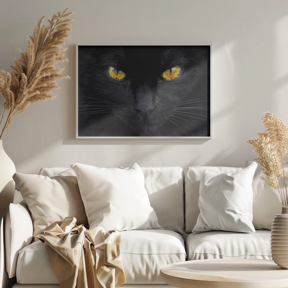 Der Hypnotiseur der Nacht | Poster - Kunstdruck