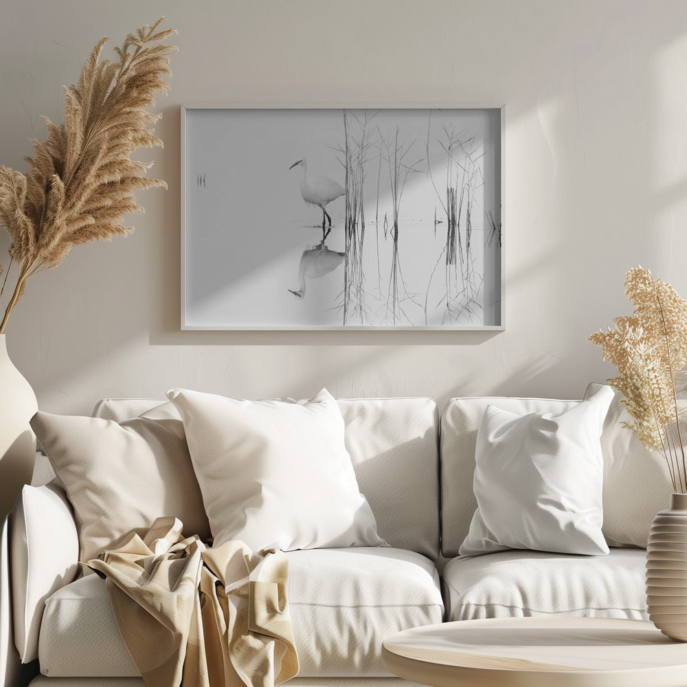 bianco | Poster - Stampe d’Arte