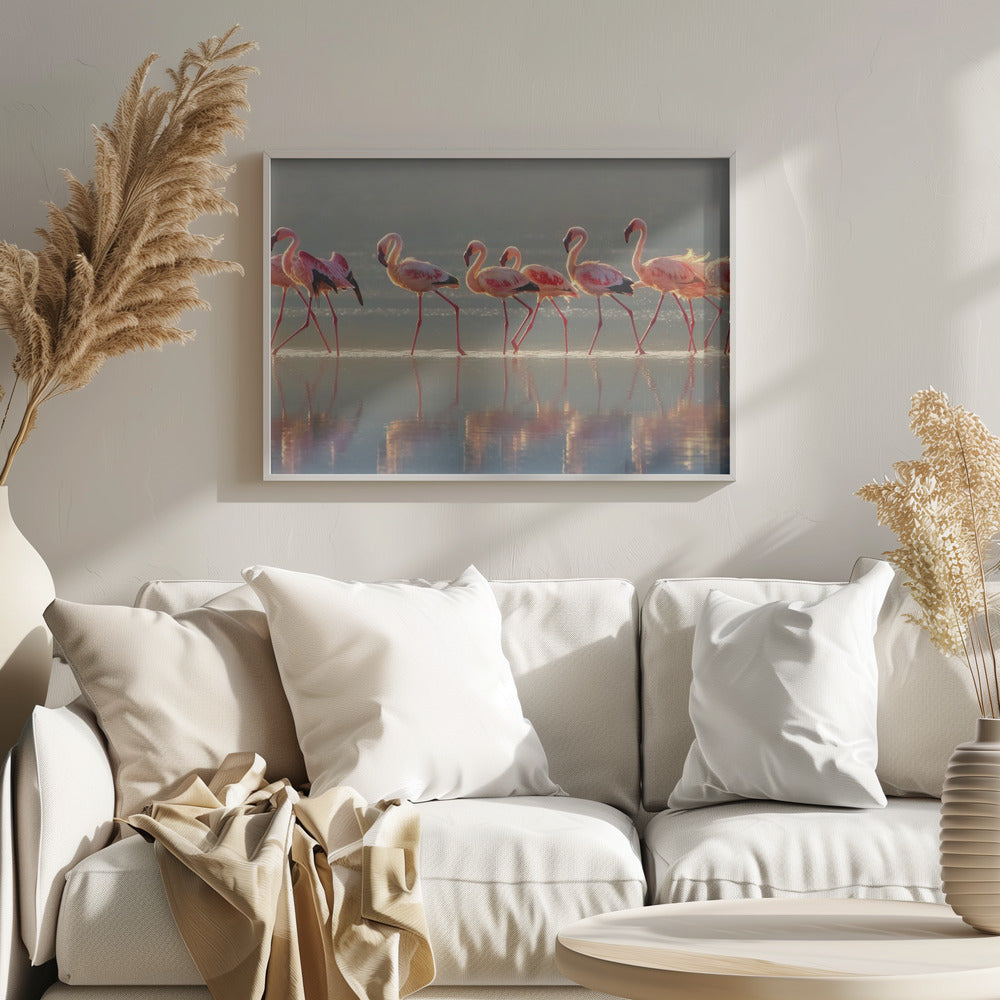 Flamenco | Posters  - Impresiones de Arte