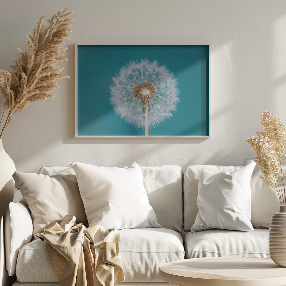 Pissenlit | Posters - Affiche Artistique