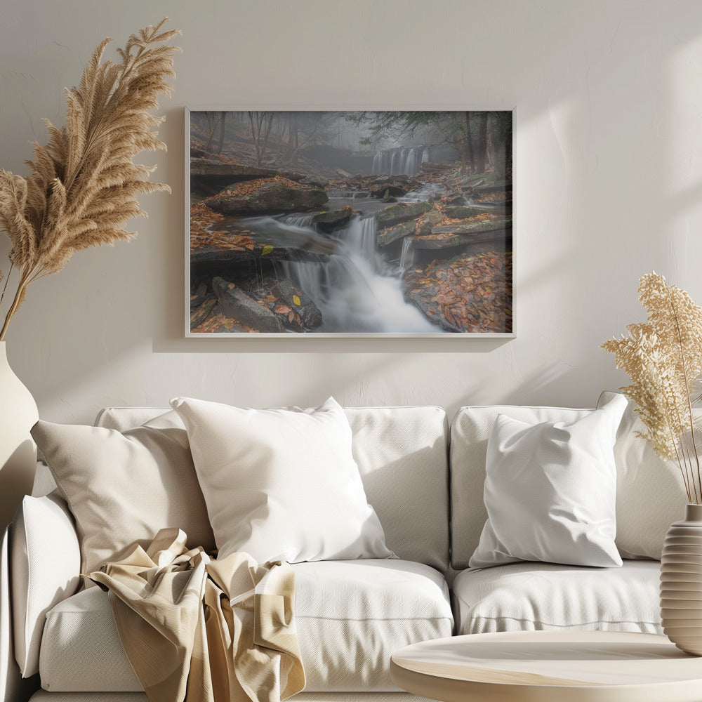 Niebla matutina | Posters  - Impresiones de Arte
