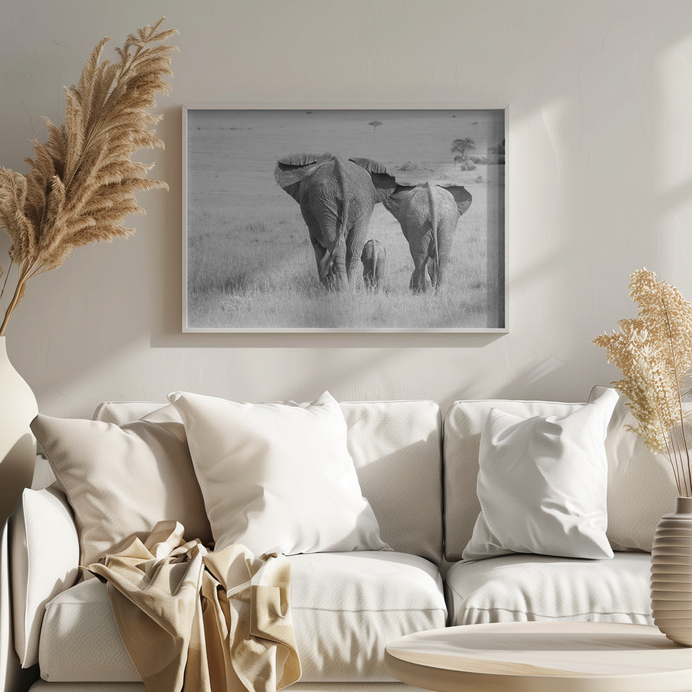 Drei Hintern! | Poster - Kunstdruck