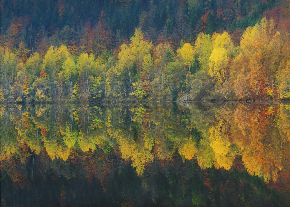 Höstlig tystnad | Fototapet
