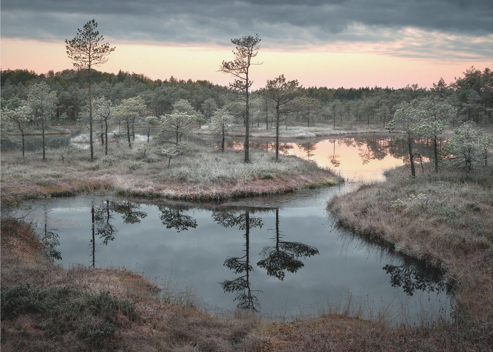 Roiskunut maali | Valokuvatapetit