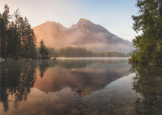 Nebbia luminosa | Carta da Parati Fotografica