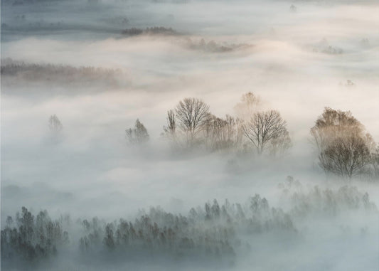 Nebbia invernale | Carta da Parati Fotografica