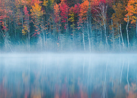 Morgenrefleksion | Fototapeter