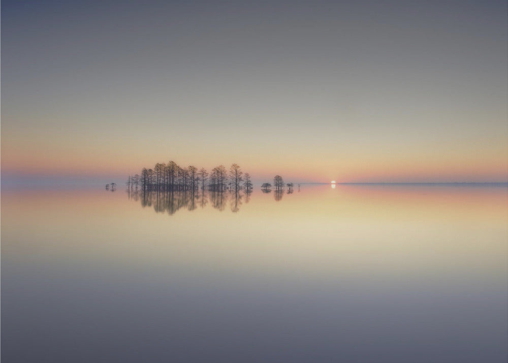 Erinnerung an den Lake Mattamuskeet | Fototapeten