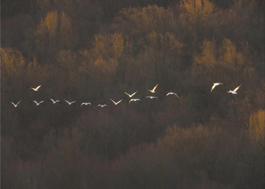 Morgenstimmung | Fototapeten