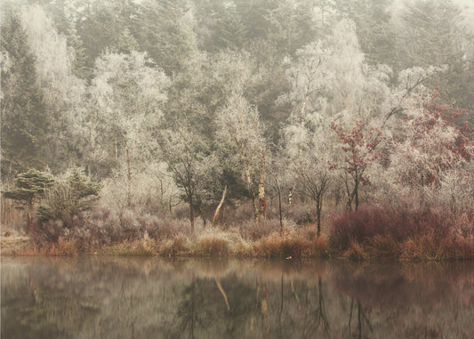 Bevroren | Fotobehang