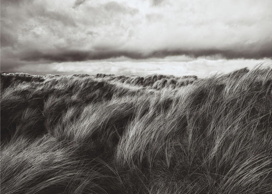 Duinen van gras | Fotobehang