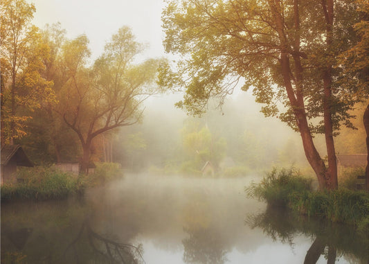 Mistige herfst | Fotobehang