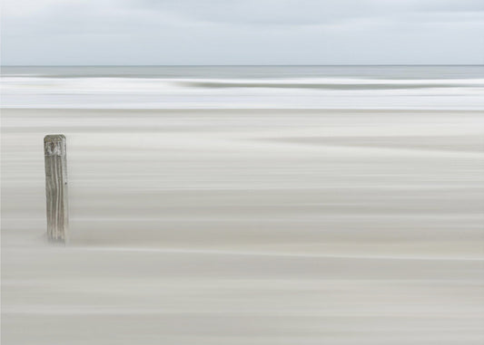 Standhaft | Fototapeten