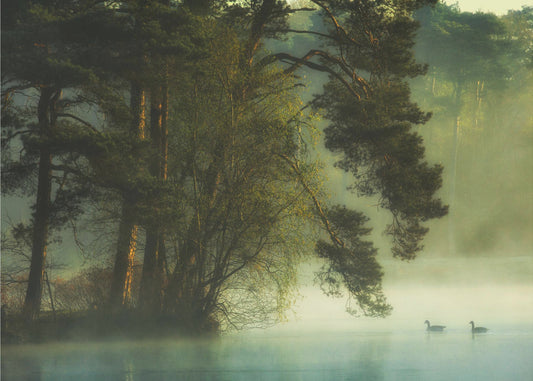 Holländisches Moor | Fototapeten