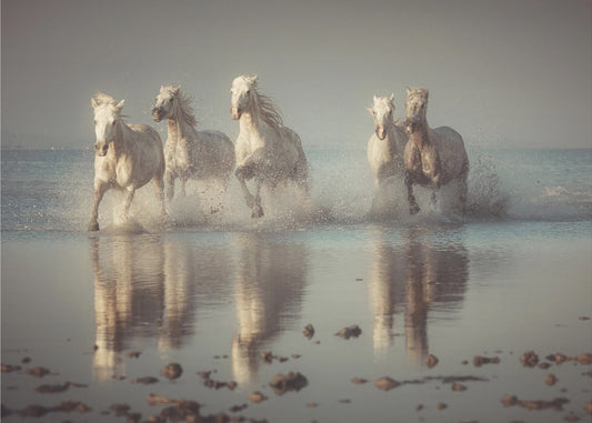 Caballos de Camarga | Papel Pintado Fotográfico