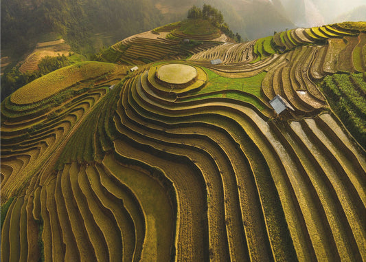 mu cang chai - vietnam | Carta da Parati Fotografica