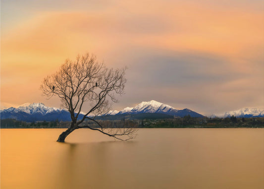 Ochtendgloed van Lake Wanaka | Fotobehang