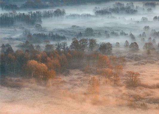 Alba nebbiosa autunnale | Carta da Parati Fotografica