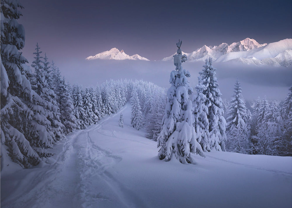Im Winter | Fototapeten