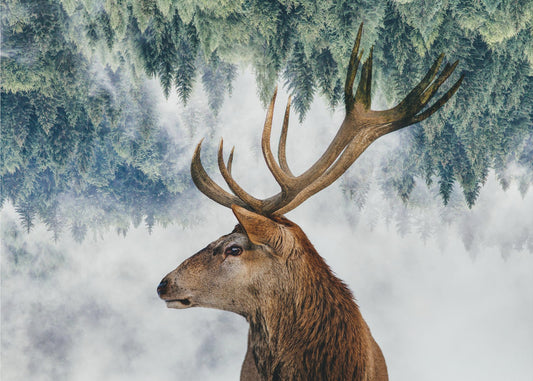 Het hert en het bos | Fotobehang