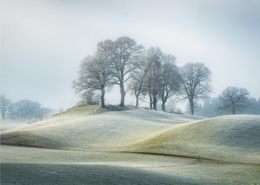 Ce n'est pas en Toscane | Papier Peint Photo