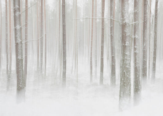 Winterbos in Zweden | Fotobehang