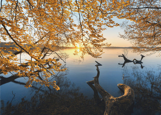 Herfstochtend | Fotobehang