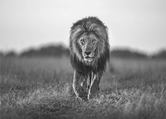 Alter Junge | Fototapeten