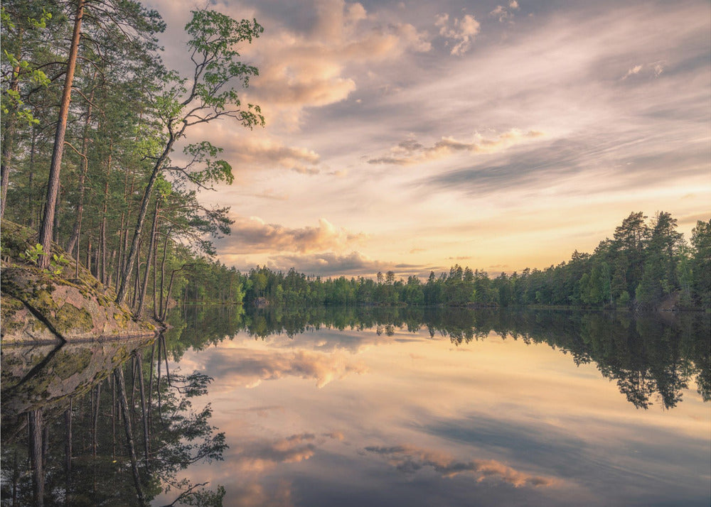Tarmsjön, Sverige | Fototapeter