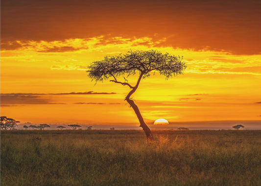Ursprungligt Afrika | Fototapet