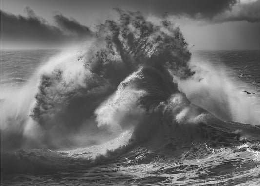 POSEIDON MAESTÀ (Parte 4) | Carta da Parati Fotografica