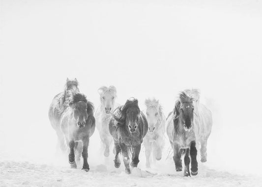 Corriendo en la nieve | Papel Pintado Fotográfico