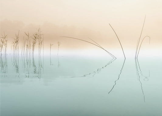 Silence | Papier Peint Photo