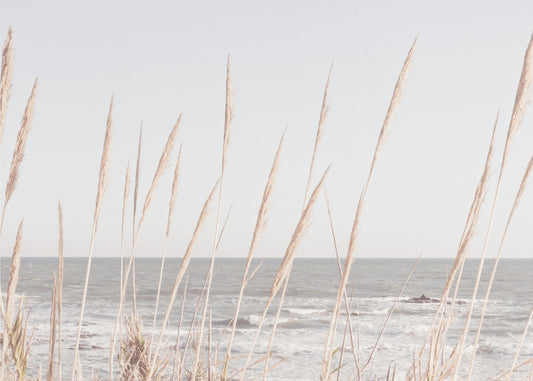 Beach_Vass_002 | Leinwand-Bilder