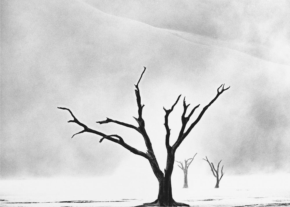 Namibia: lo spirito della natura selvaggia | Stampe su Tela
