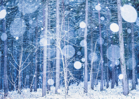 Paysage de neige | Papier Peint Photo