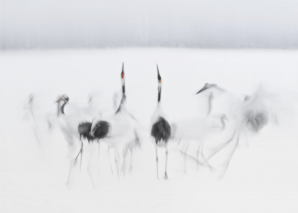 Kalligrafisches Ballett | Fototapeten