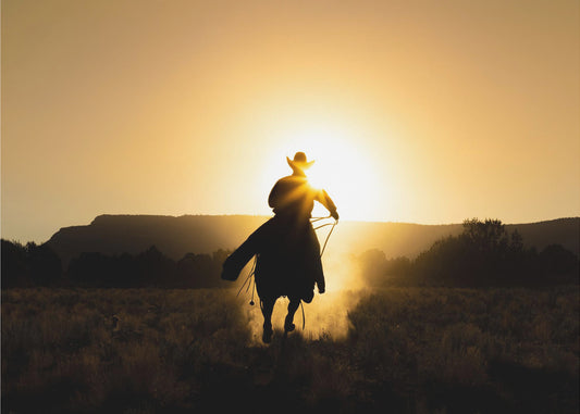 Le cow-boy | Tableaux sur Toile