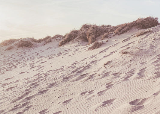 Strand_009 | Fototapeter