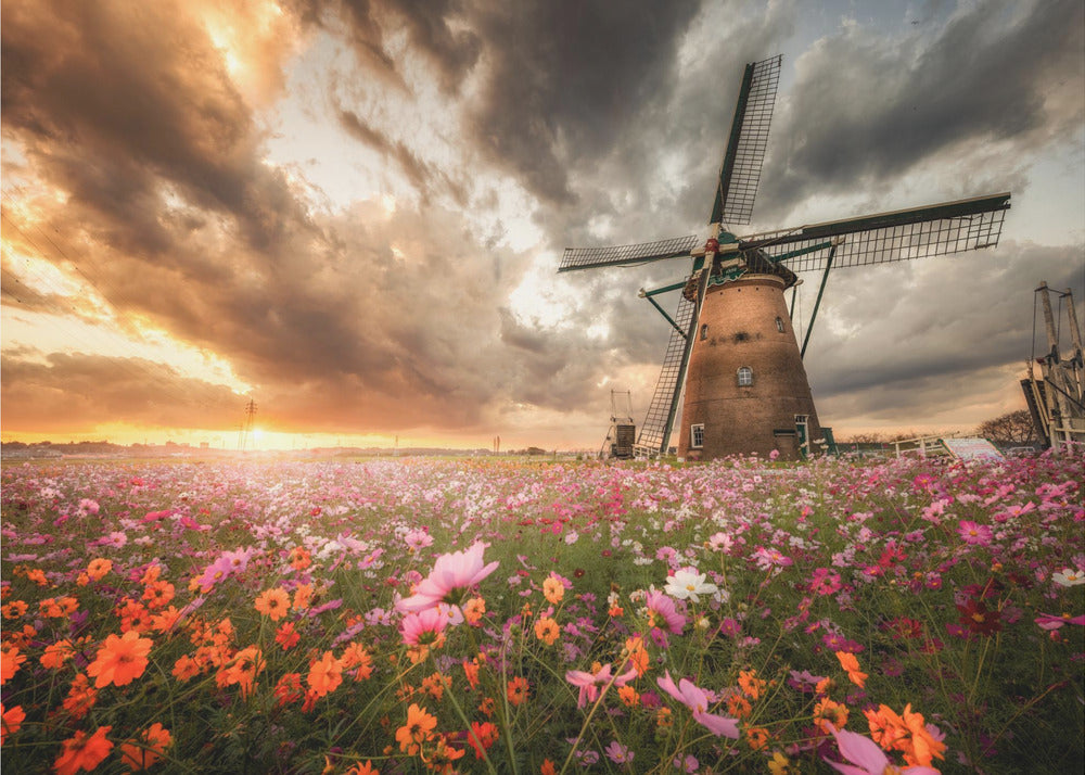 Storslagen blomstervärld | Canvas